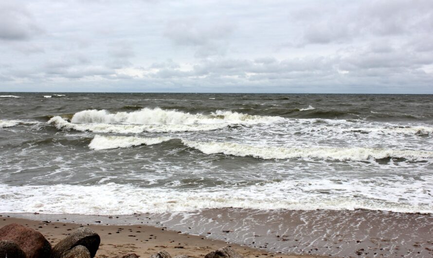 Отдых на Балтийском море: пляжи в Калининградской области