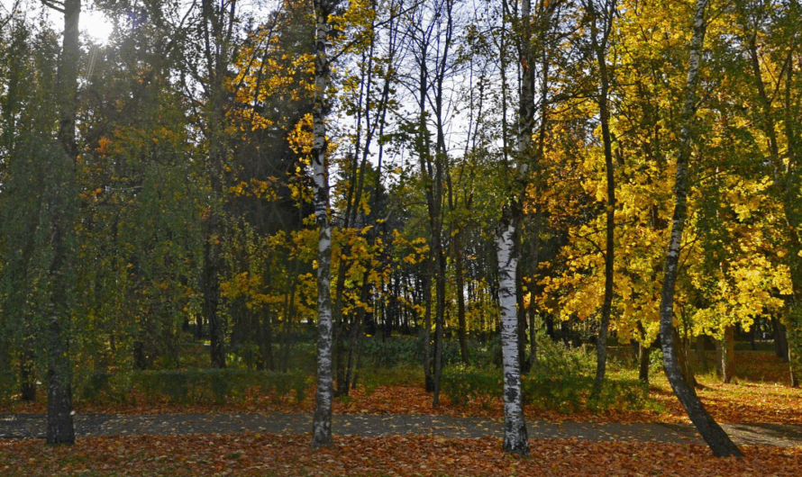 Муром за 1 день