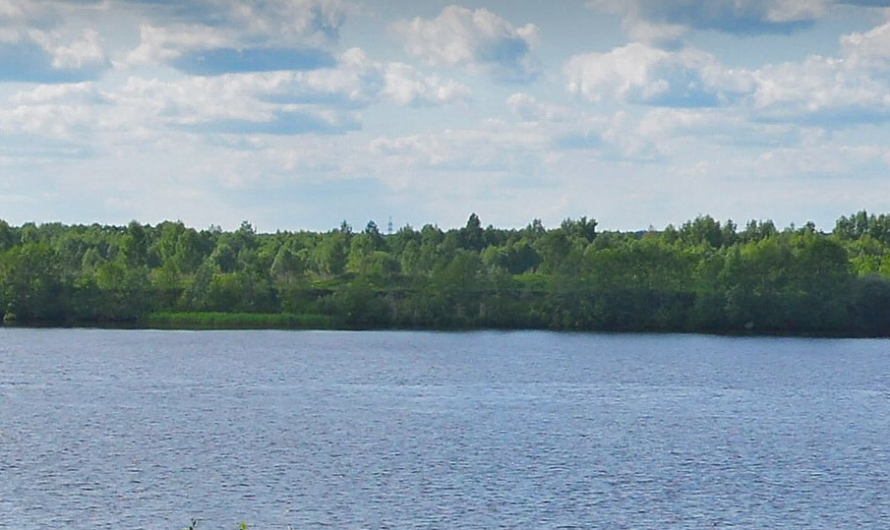 Дубна за 1 день